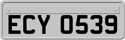 ECY0539