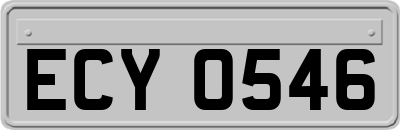 ECY0546