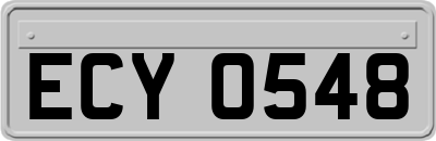 ECY0548