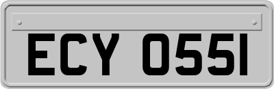 ECY0551