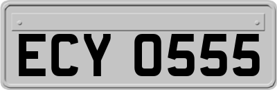 ECY0555