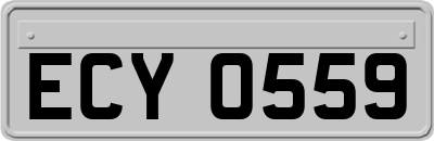 ECY0559