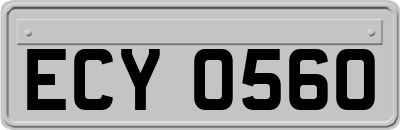 ECY0560