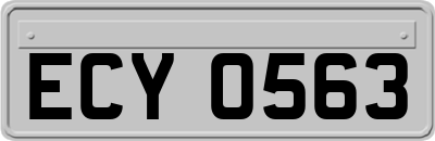 ECY0563