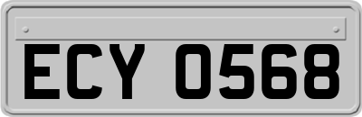 ECY0568