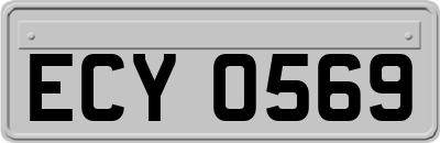 ECY0569