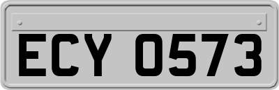 ECY0573