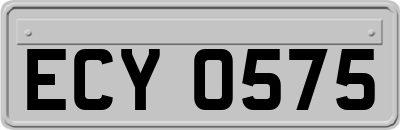 ECY0575