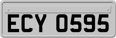 ECY0595