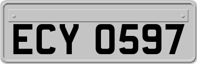 ECY0597