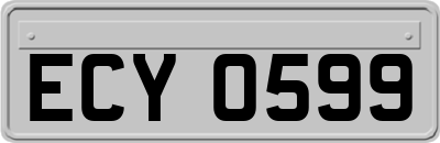 ECY0599