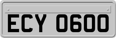 ECY0600