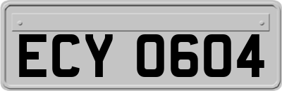 ECY0604