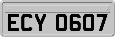ECY0607