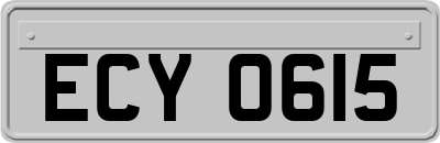 ECY0615