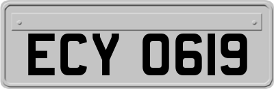 ECY0619