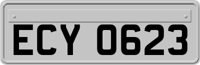 ECY0623