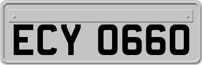 ECY0660