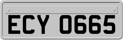ECY0665