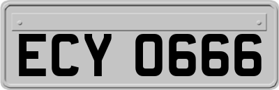 ECY0666