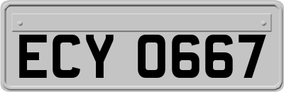 ECY0667