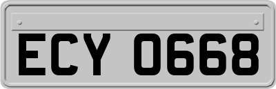 ECY0668