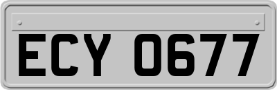 ECY0677