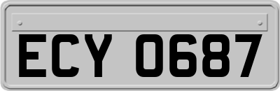 ECY0687