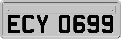 ECY0699