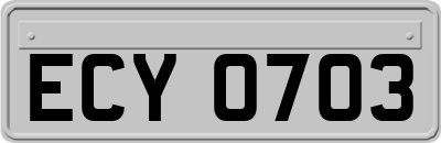 ECY0703