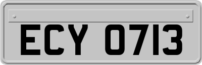 ECY0713