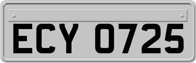 ECY0725