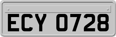 ECY0728