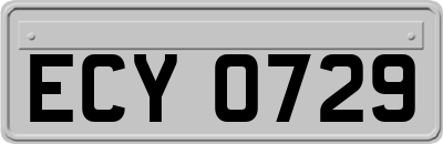 ECY0729