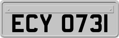 ECY0731