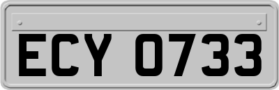 ECY0733