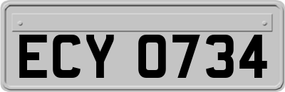 ECY0734