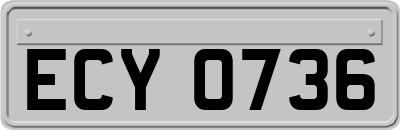ECY0736