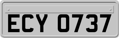 ECY0737