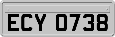 ECY0738