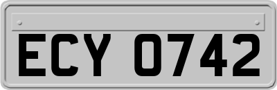 ECY0742