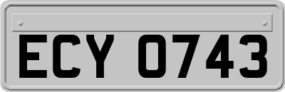ECY0743