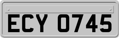 ECY0745