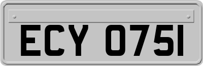 ECY0751