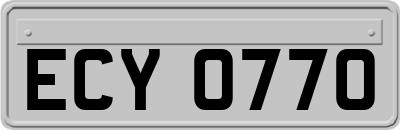 ECY0770