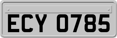 ECY0785