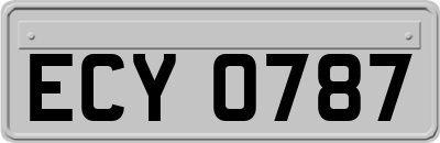 ECY0787