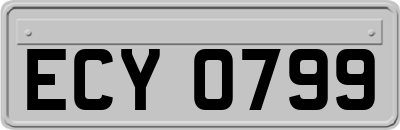 ECY0799