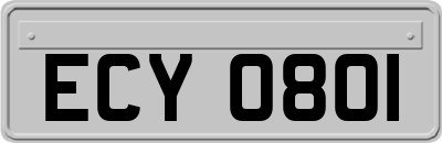 ECY0801