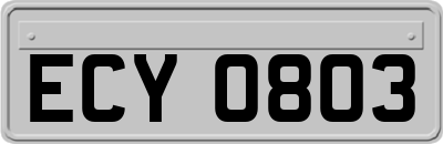 ECY0803